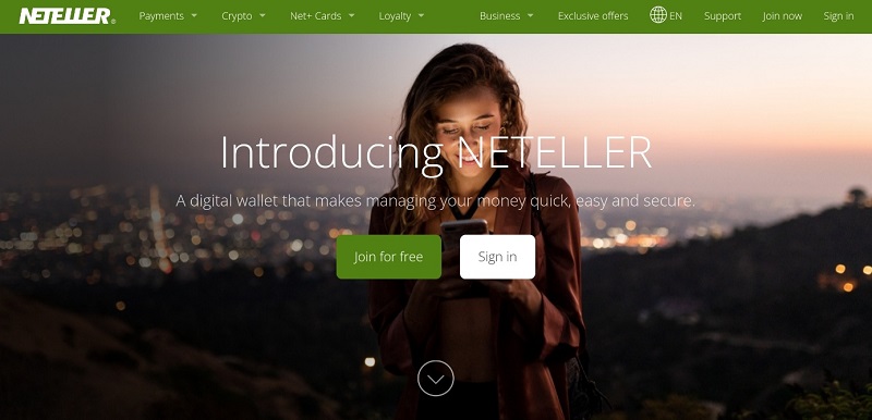Náhled webu Neteller