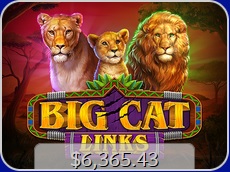 Vegascasinoonline casino