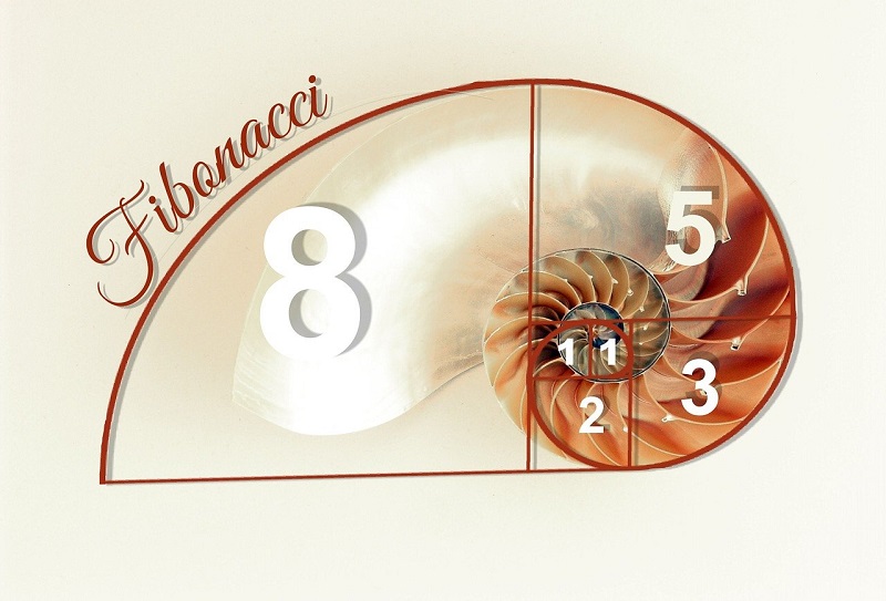 Fibonacci-Folge