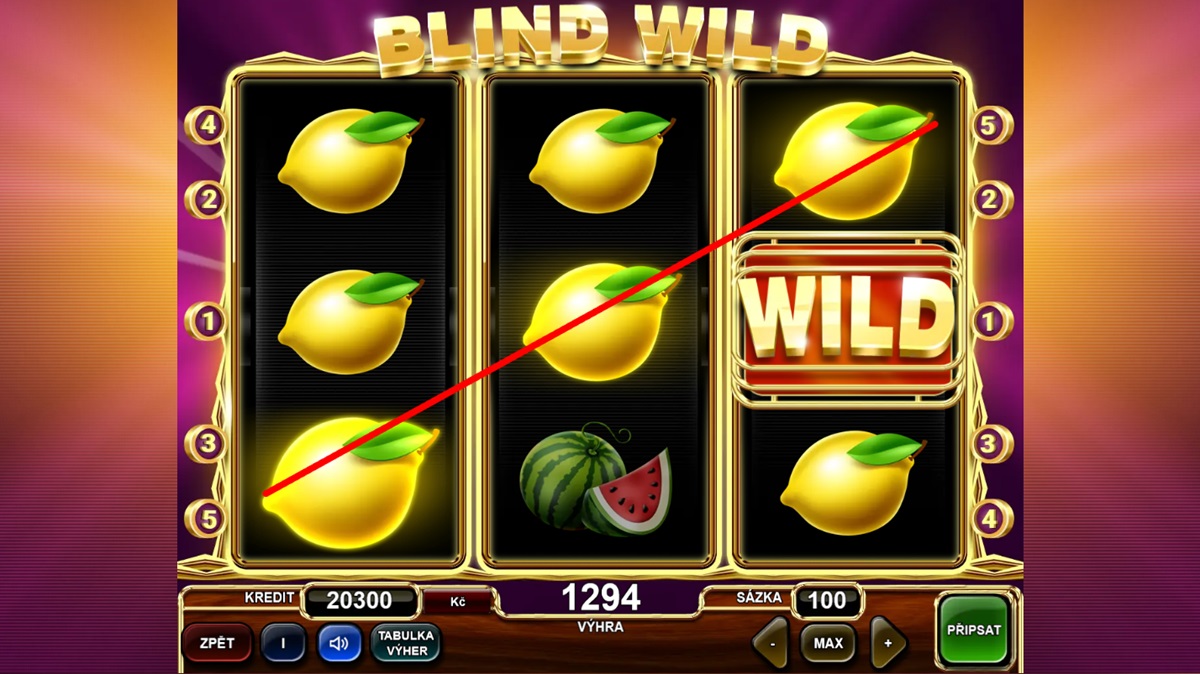 Blind Wild