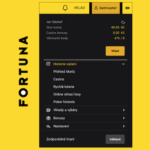 Fortuna Einzahlungen