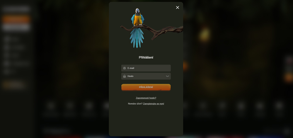 CashWin Login [Anleitung zur Anmeldung]