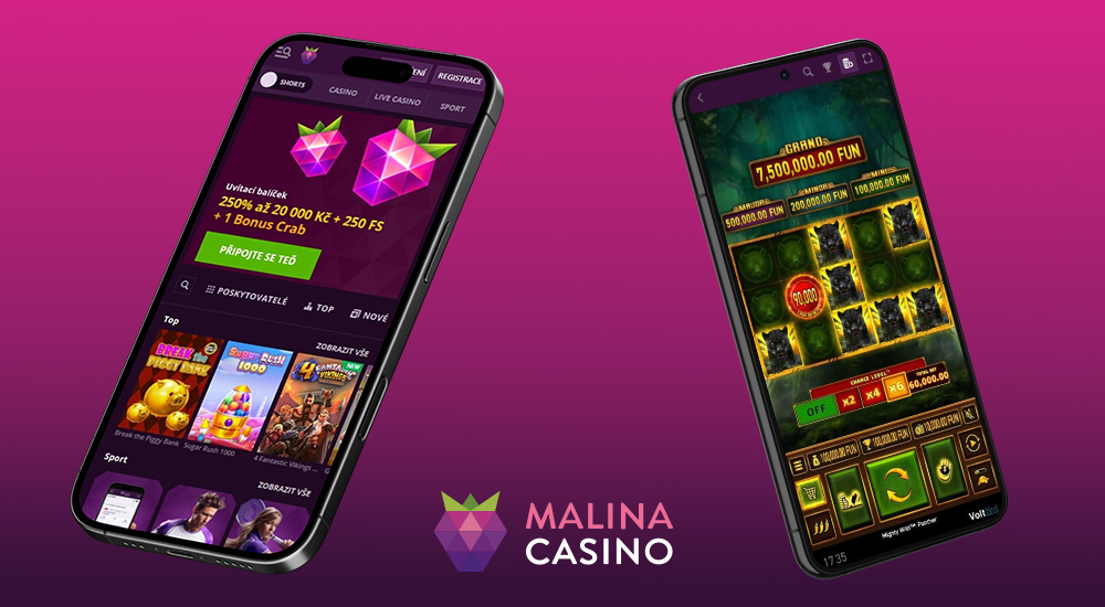 Vorschau der responsiven Oberfläche der Website des Online Casinos und Buchmachers Malina Casino
